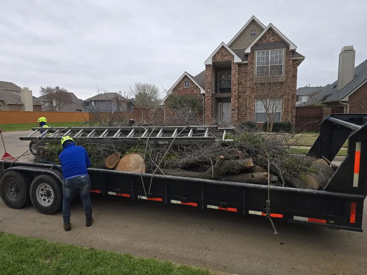 Expert Tree Pest Control with proper safety equipment in Ailey